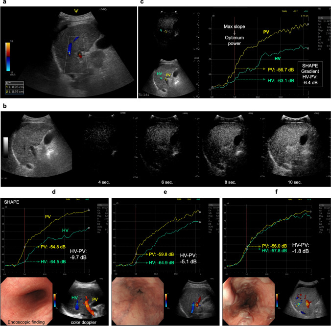 Fig. 2