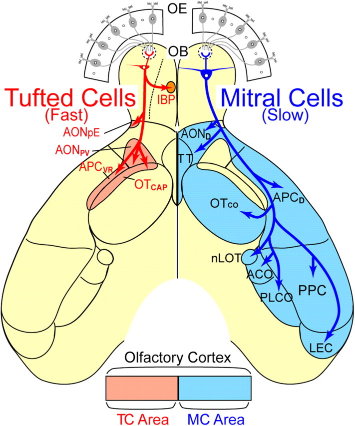 Figure 10.