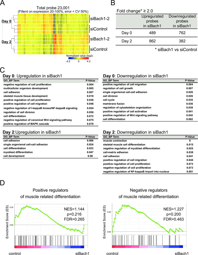 Fig 10