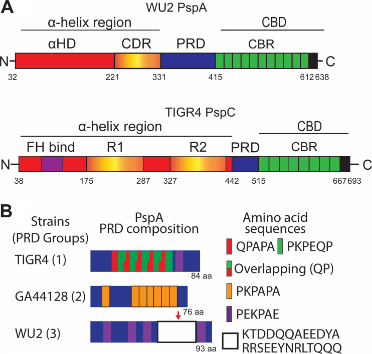 FIG 1