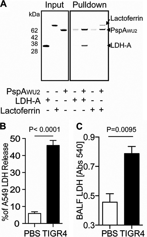 FIG 2