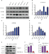 Figure 13