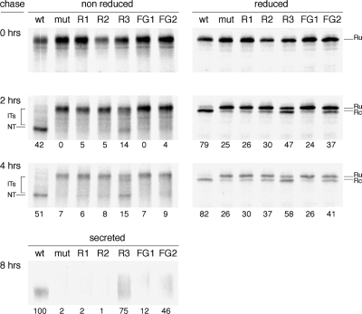 Figure 3.