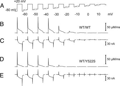 Fig. 4.