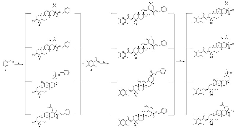 Scheme 2