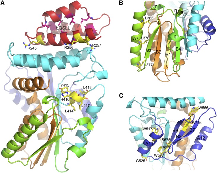 Figure 2.