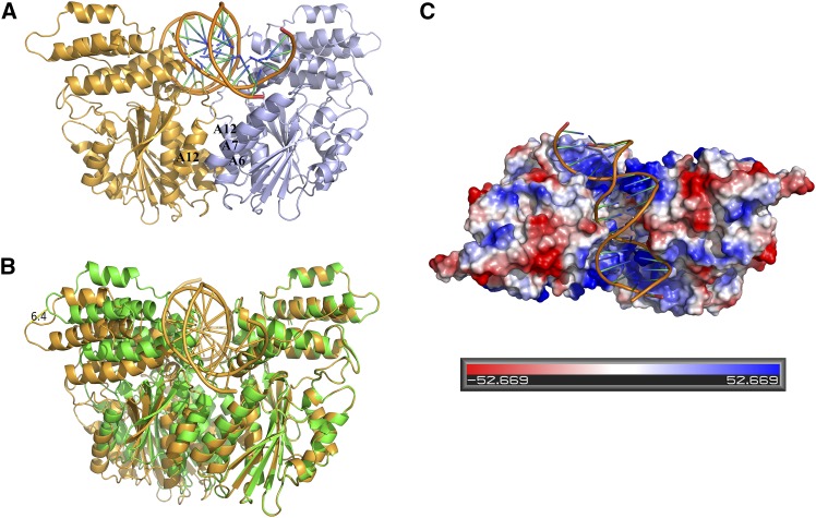 Figure 4.