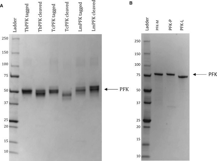 Figure 1.