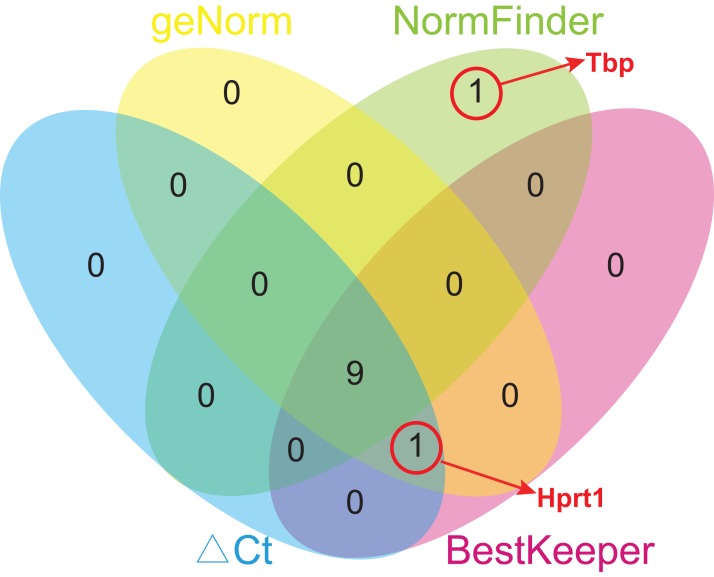 Figure 5