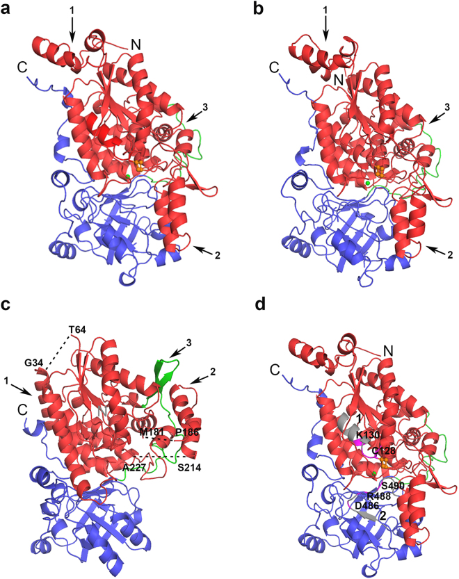 Figure 4