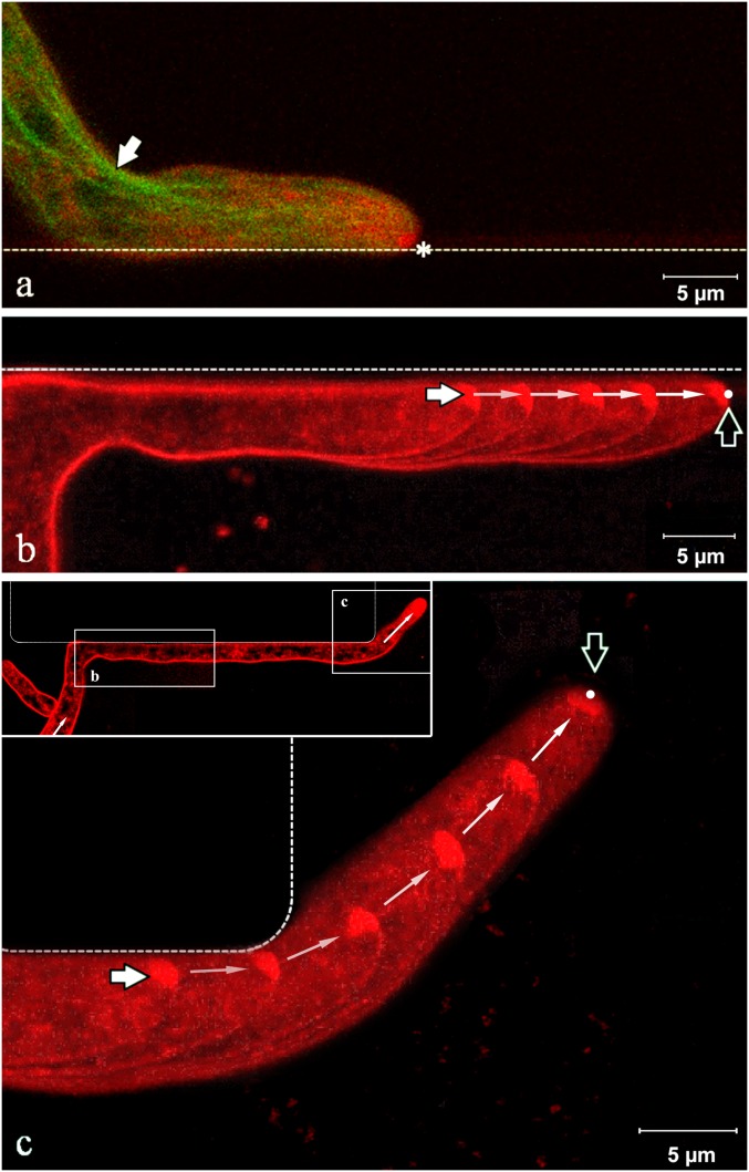 Fig. 3.