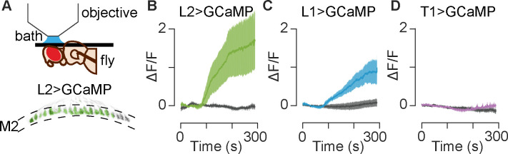 Fig 4