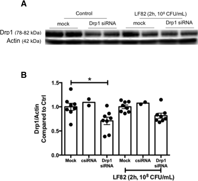 Figure 12