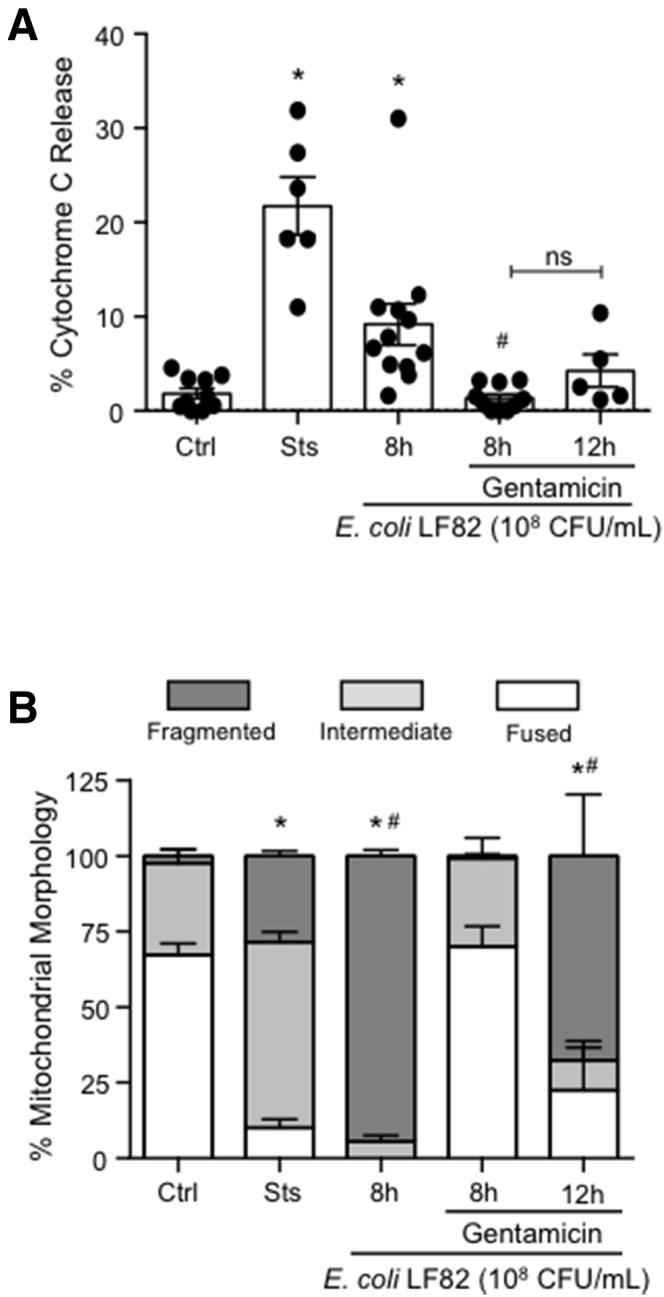 Figure 10