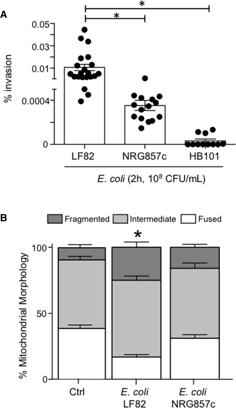 Figure 5