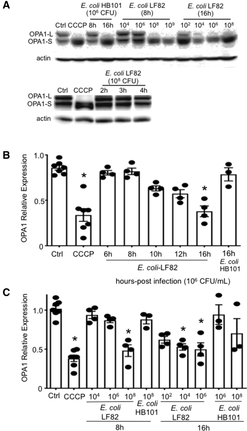 Figure 7