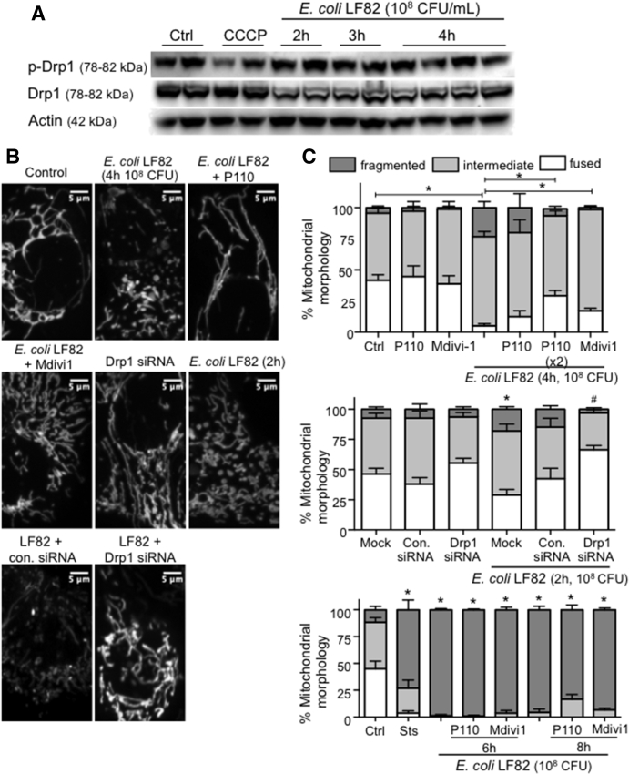 Figure 6