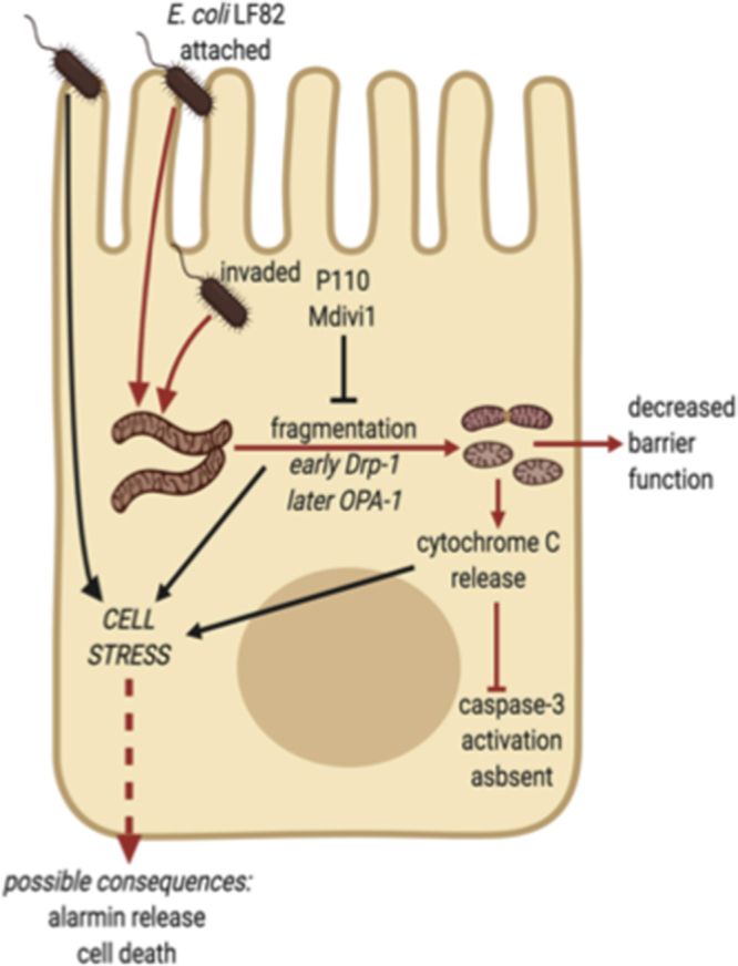 Figure 11