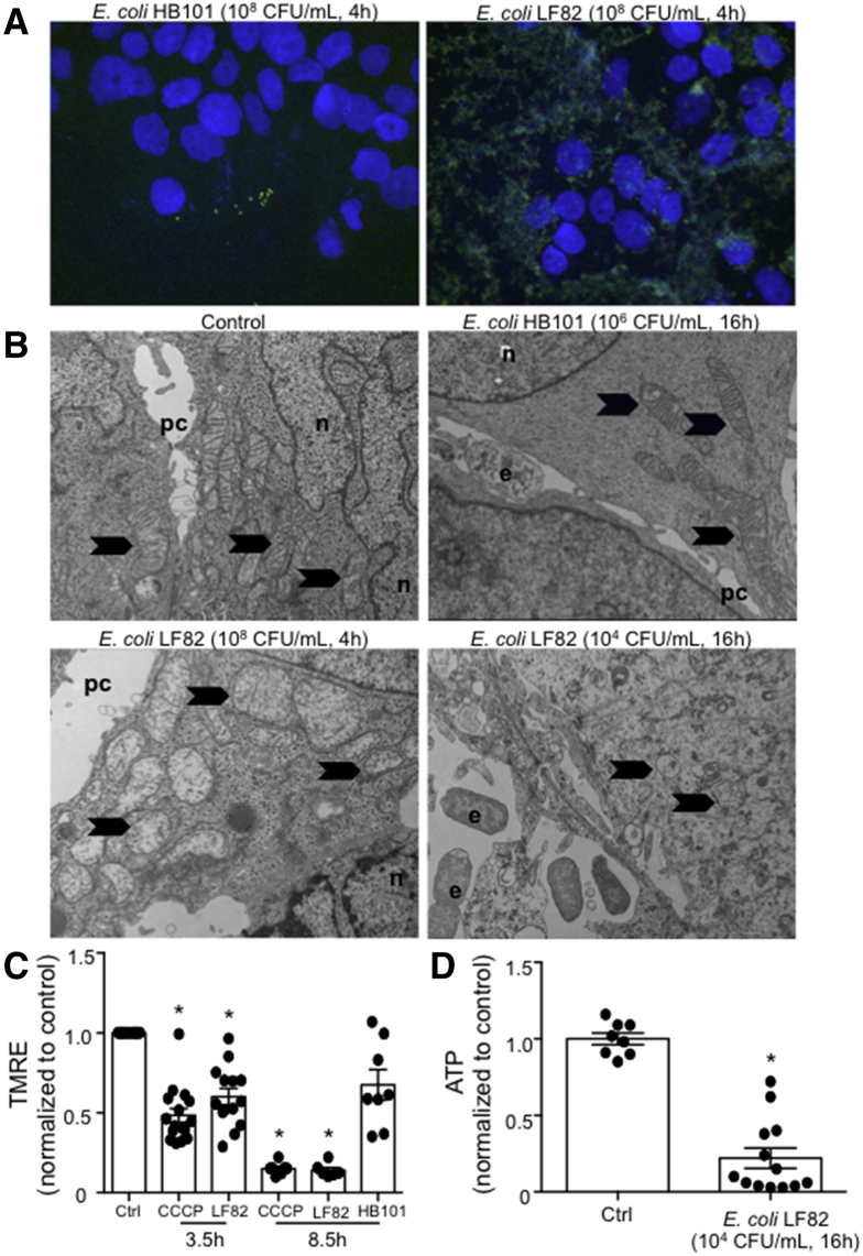 Figure 3