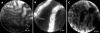 Figure 8