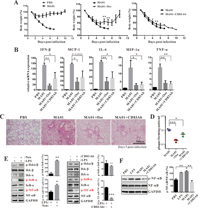 FIG 6