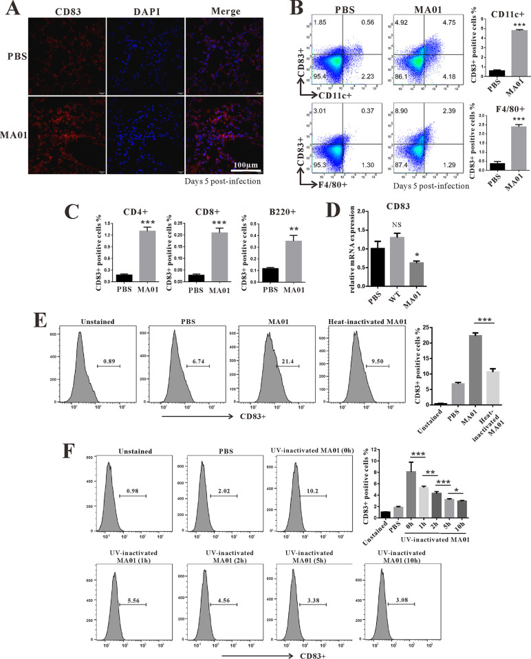 FIG 2