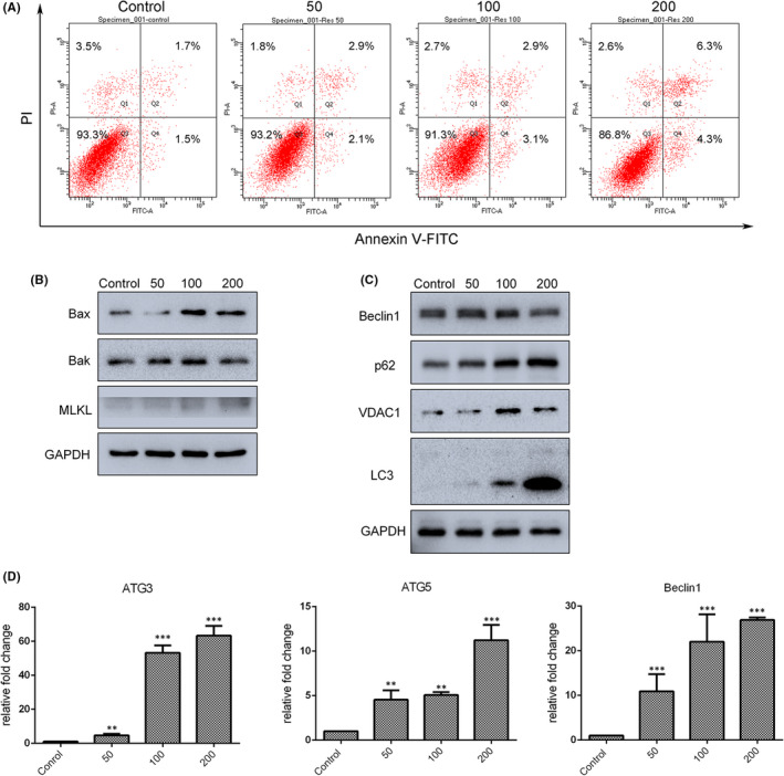 FIGURE 2