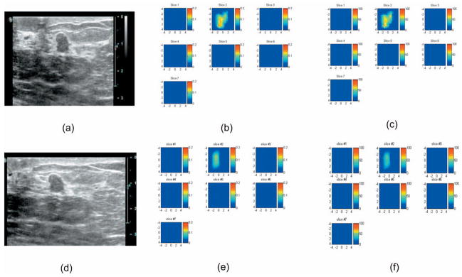 Fig. 10