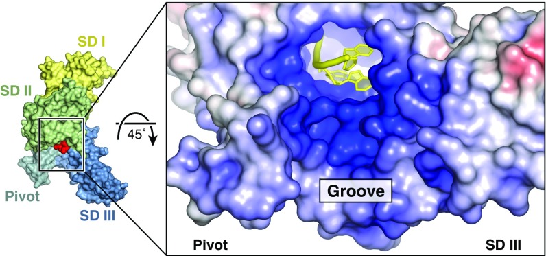 Fig. 7.