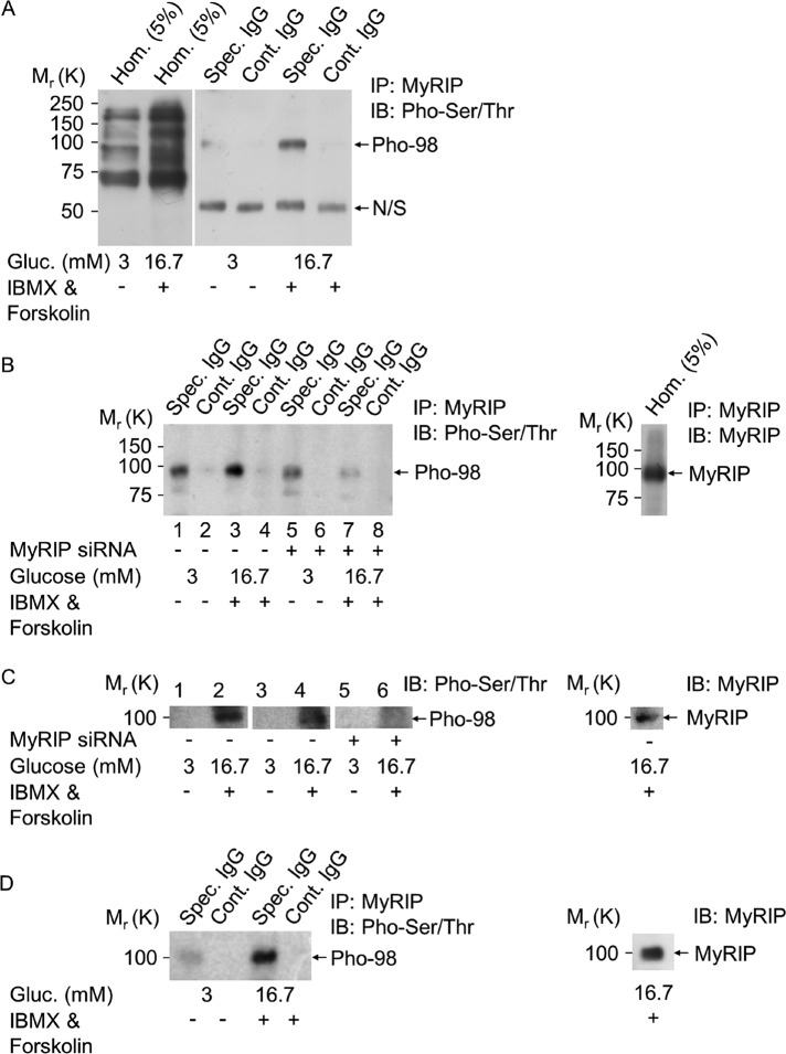 FIGURE 7: