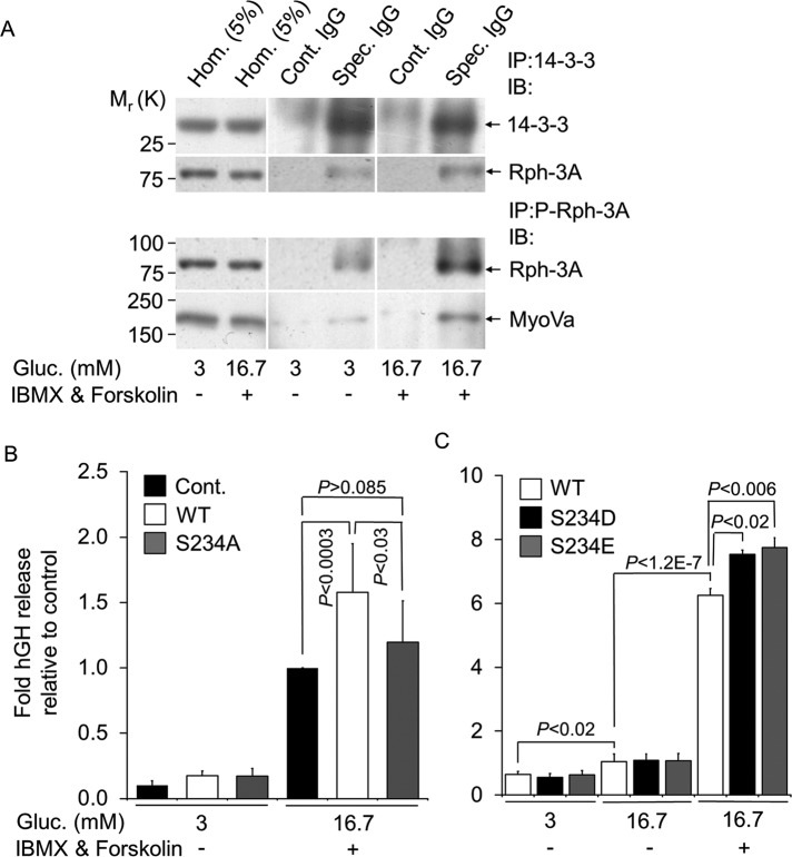 FIGURE 6: