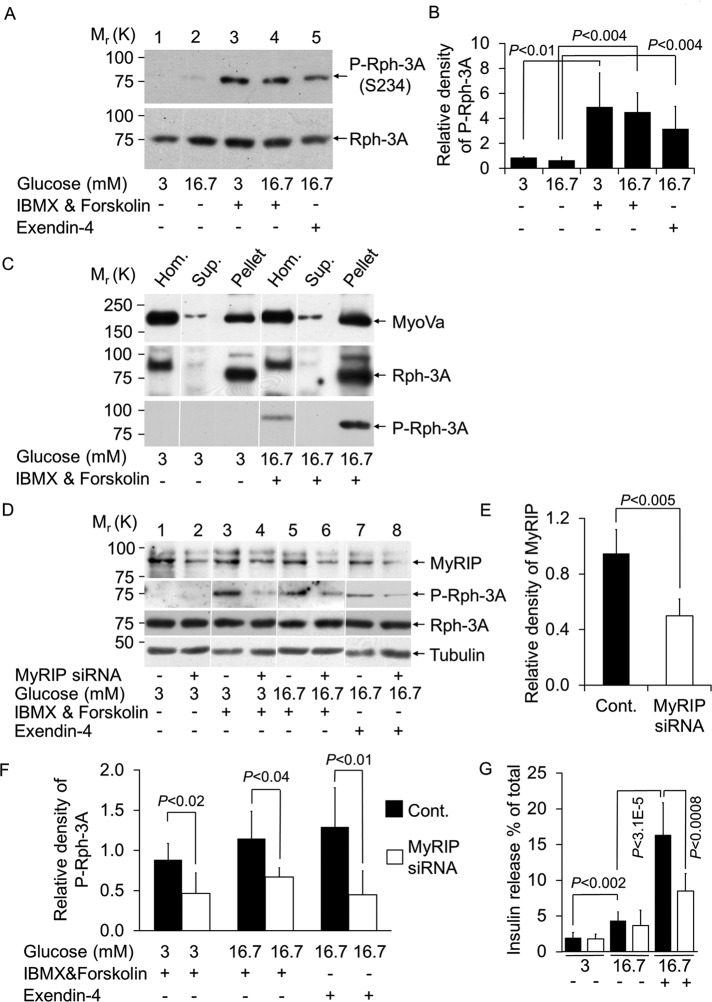 FIGURE 5: