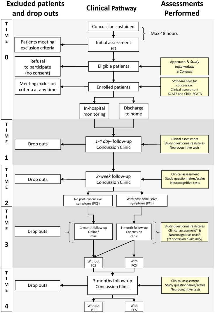 Figure 1