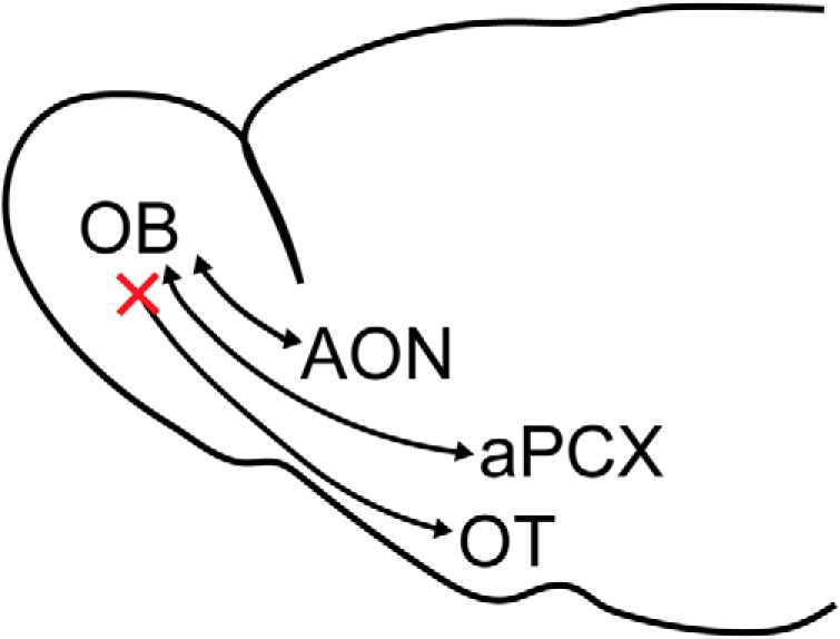 Figure 7.