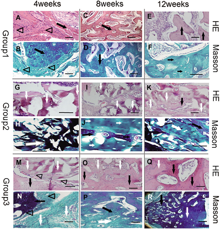 Fig. 6