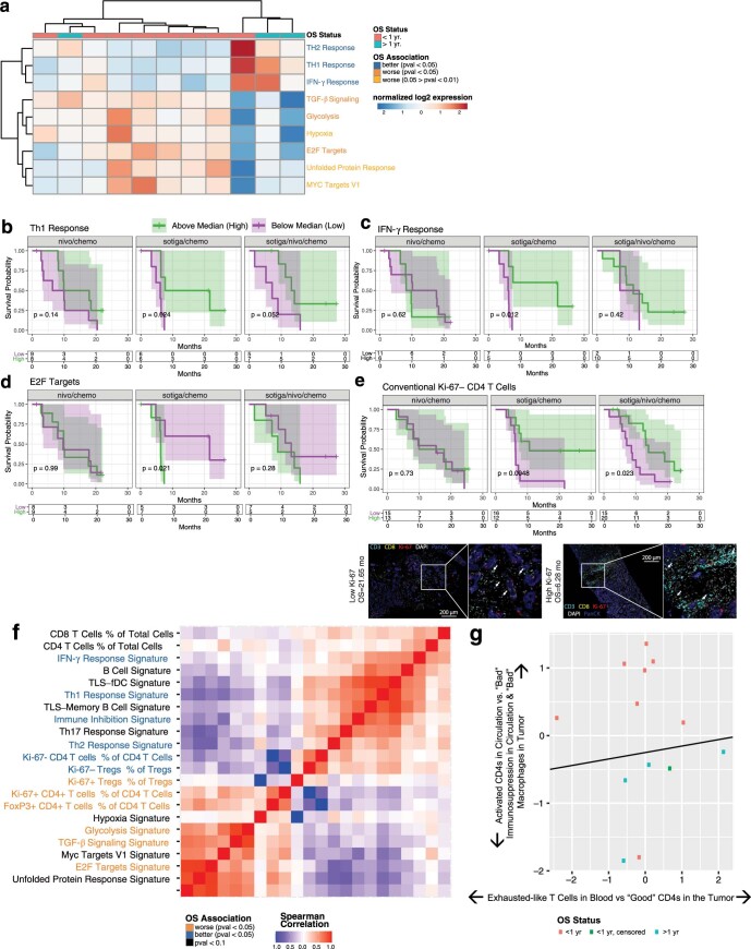 Extended Data Fig. 6