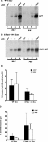 FIG.4.