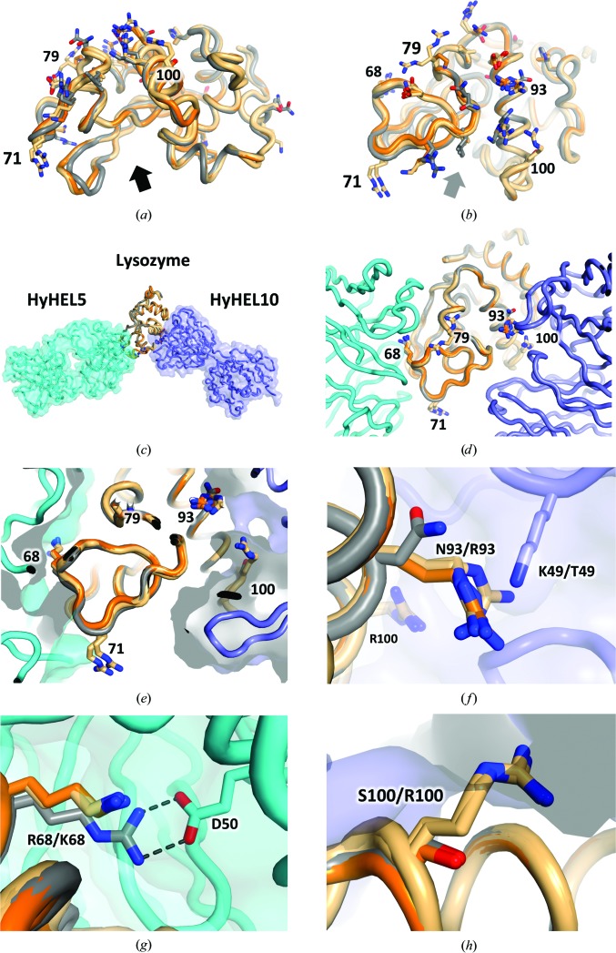 Figure 7