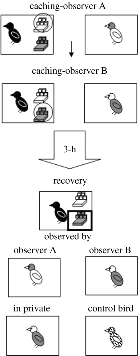 Figure 15