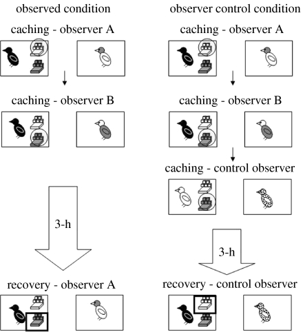 Figure 17