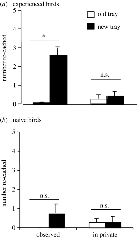 Figure 19