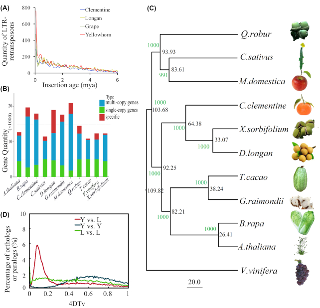 Figure 3: