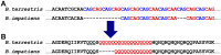 <sc>Fig</sc>. 4.
