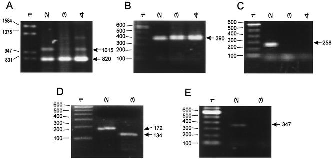 FIG. 5.