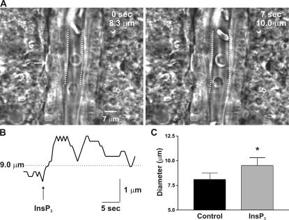 Figure 5.