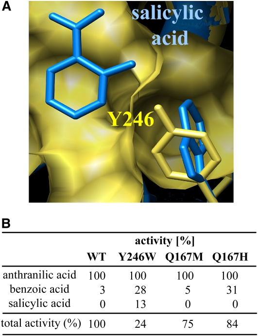 Figure 10.