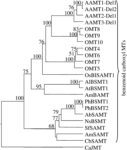 Figure 5.