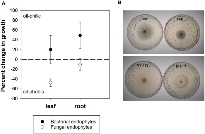 Fig 5