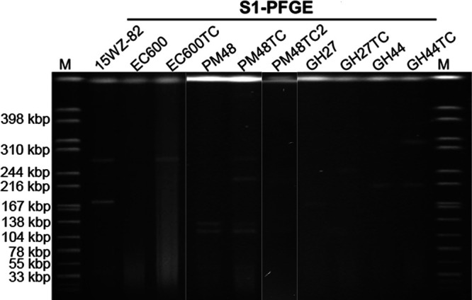 FIG 1