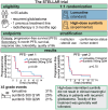 Graphical Abstract